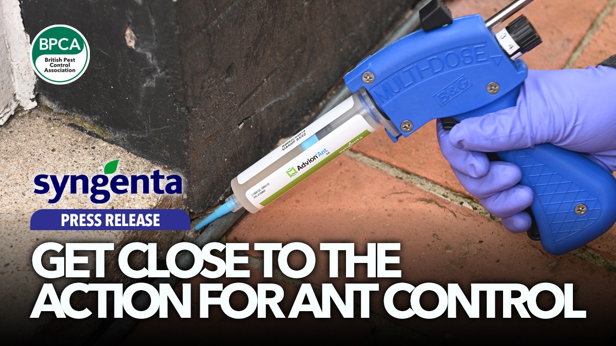get-close-to-action-ant-control-syngenta-hero get-close-to-action-ant-control-syngenta-hero
